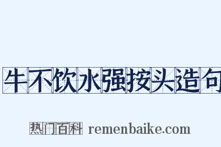 牛不饮水强按头造句是什么意思的图片